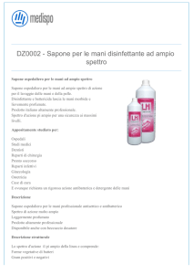DZ0002 - Sapone per le mani disinfettante ad ampio spettro