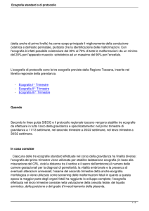 Ecografia standard o di protocollo