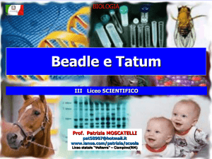beadle e tatum2