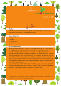 Laboratorio Alberi