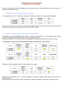 2° Esperienza del Laboratorio di Scienze LA CHIMICA DELLA