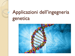 Applicazioni dell`ingegneria genetica