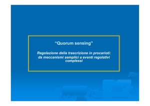 Quorum sensing - sciunisannio.it