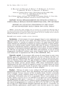 REPORT SUGLI SPIAGGIAMENTI DI CETACEI LUNGO LA COSTA