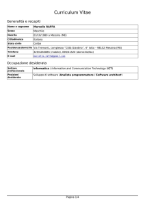 RAFFA Marcello - Curriculum Vitae