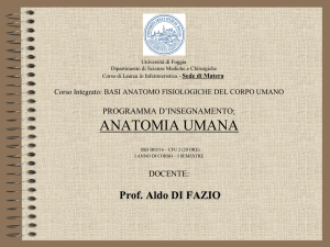 Pensionistica privilegiata - equo indennizzo