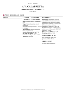 VINO ROSSO GAIO GAIO (A.V. Calabretta)