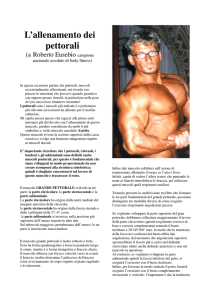 L`allenamento dei pettorali