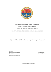 UNIVERSITÀ DEGLI STUDI DI CAGLIARI Influenza del gene MCT1