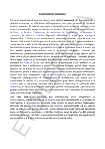 AMMINOACIDI ESSENZIALI Dei venti amminoacidi proteici, alcuni