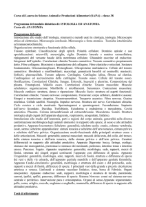 Istologia e anatomia (VET/01)