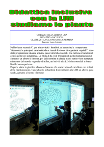 studiamo le piante