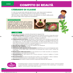 Erbario di classe