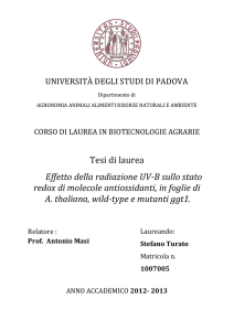 Documento PDF