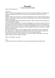 Plasmolisi - BergamoScienza Liceo Mascheroni