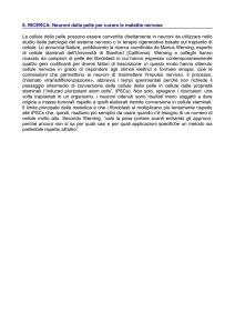 Vedi allegato