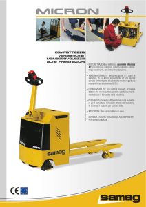• MOTORE TRAZIONE ed elettronica a corrente alternata AC