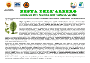 Scheda tiglio in pdf