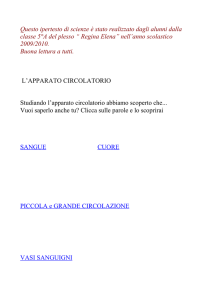 L`APPARATO CIRCOLATORIO