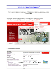 PDF 640 KB - Sigma