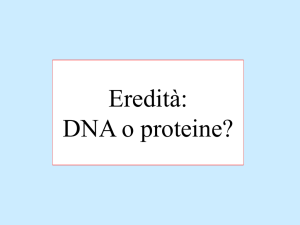 Presentazione di PowerPoint