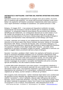 ANTIBIOTICI E NAFTALENE: I BATTERI DEL