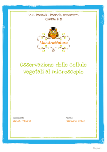 Osservazione delle cellule vegetali al microscopio