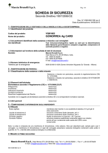 scheda di sicurezza