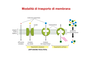 Lezione 9