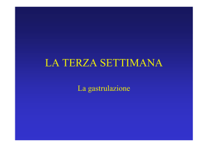 la terza settimana