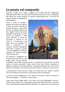 La pianta sul campanile