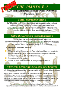 CHE PIANTA È ? - Erbario