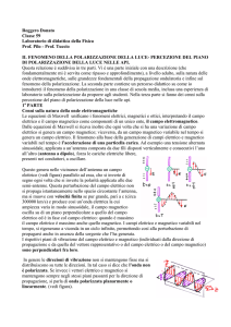 Il fenomeno della polarizzazione della luce e l`orientamento delle api