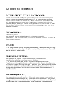 Leggere analisi delle feci