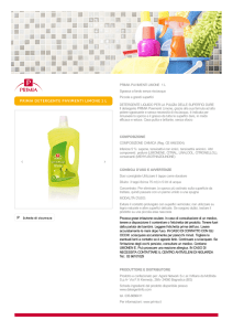 PRIMIA DETERGENTE PAVIMENTI LIMONE 1 l