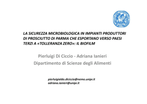 9. Ianieri Adriana Biofilm e nicchie - prima parte