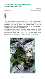 Valori e rarità della flora ligure