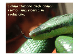 L`alimentazione degli animali esotici: una ricerca in evoluzione.