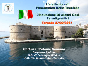 L`elettroforesi: panorama delle tecniche (S. Soranno)