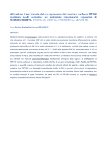 Attivazione trascrizionale del co- repressore del