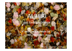 nel loro ambiente