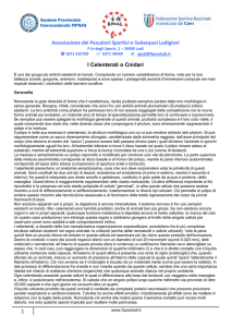 I Celenterati o Cnidari