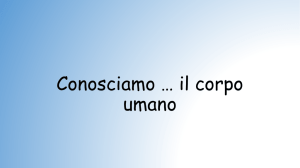 versione Pdf