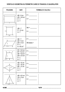 Verifica di Geometria: Perimetri e Aree di Poligoni