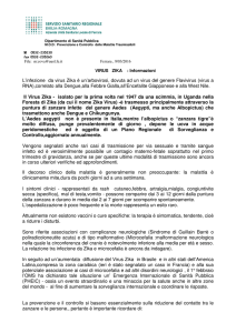 informazioni sul virus zika