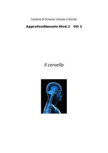 Il cervello - Dott. Vitantonio Lobascio