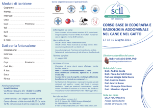 corso base di ecografia e radiologia addominale nel cane e nel gatto
