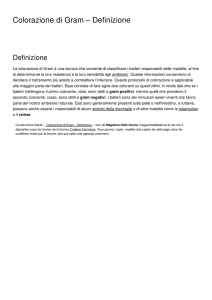 Colorazione di Gram – Definizione