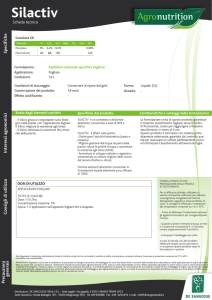 Silactiv - De Sangosse Italia