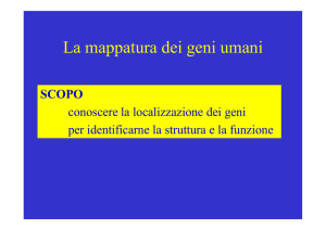 La mappatura dei geni umani